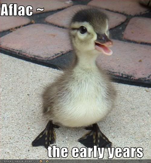 Duck,Baby,AFLAC