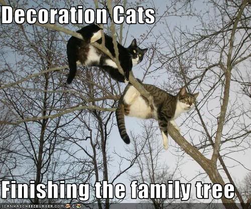 Cats,tree,Family