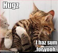 Cats,Hugs,Mom