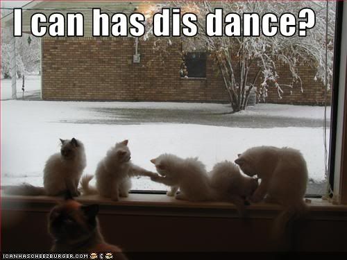Song,Dance,Cats