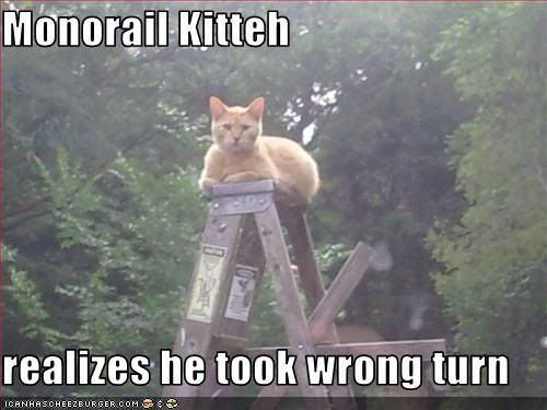Monorail,Cat,Ladder