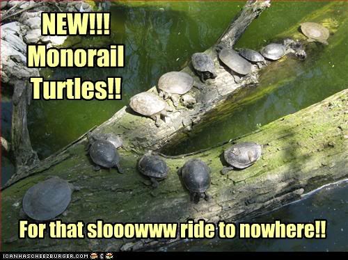 Monorail,Turtles