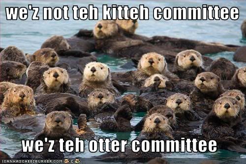 Itty Bitty,Otters