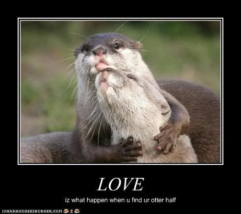 Love,Otters