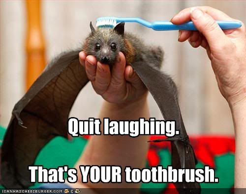 Bat,Toothbrush