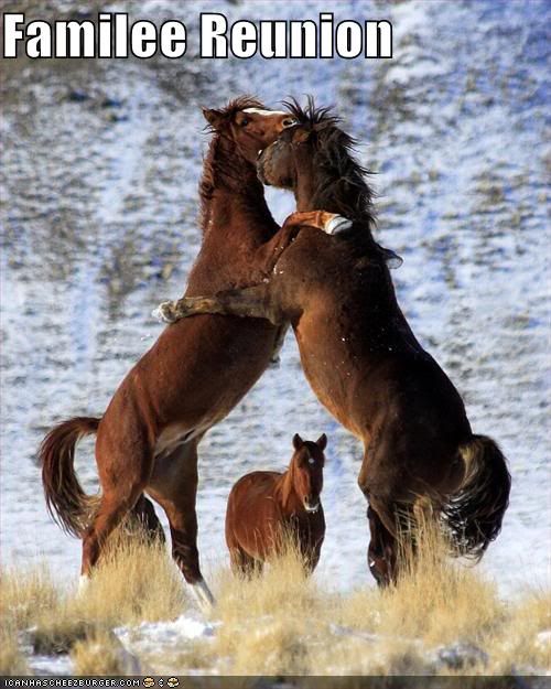 Horses,Family,Hugs