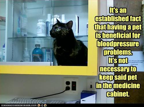 Cat,Medical