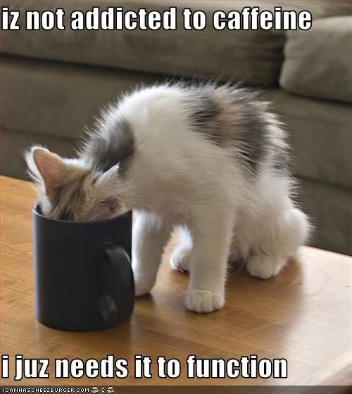 Cat,Caffeine