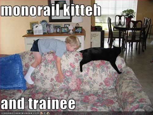 Cat,Monorail,Child