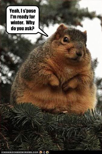 [Image: funny-pictures-squirrel-is-ready-fo.jpg]