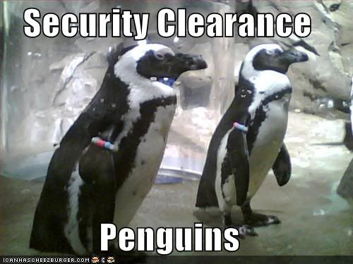 Penguins,Security