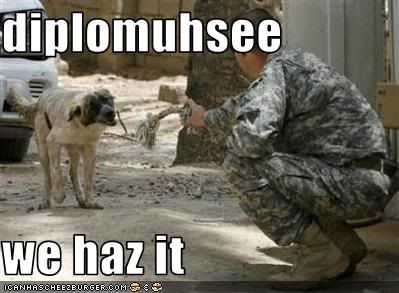 Dog,Military,Peace