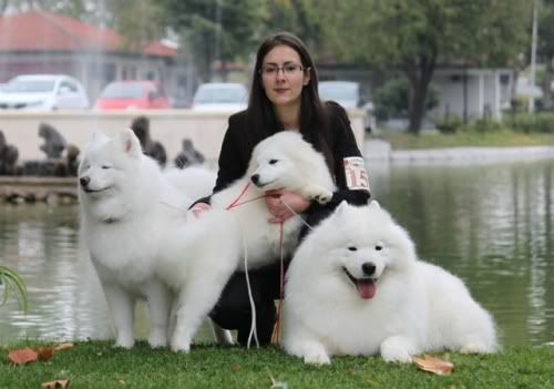 Качена снимка