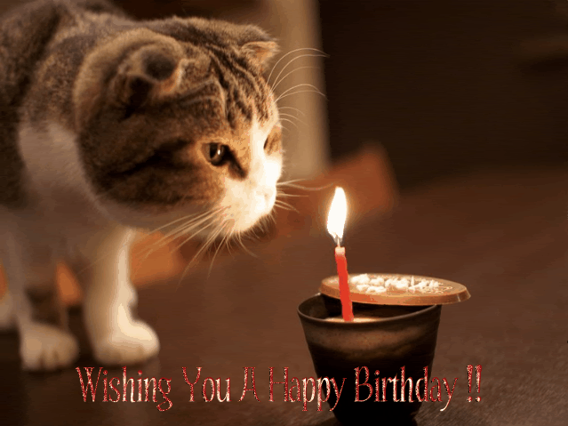 http://i487.photobucket.com/albums/rr240/catwoman416/More%20Wallpaper/Happy-Birthday-1.gif