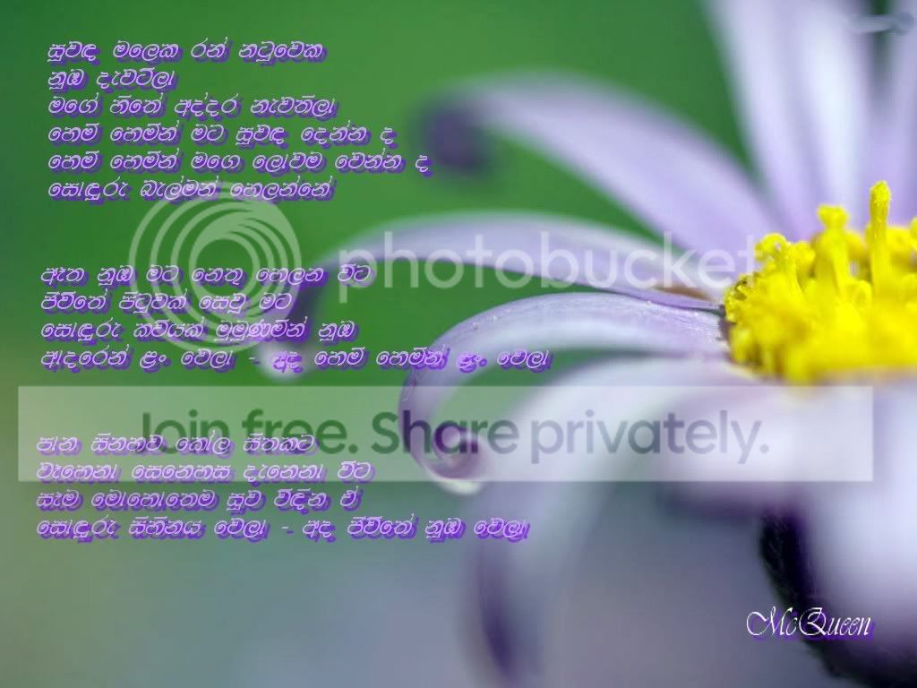pic-9973.jpg