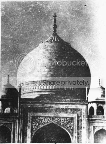 taj4.jpg