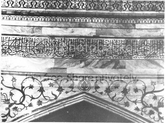 taj7.jpg