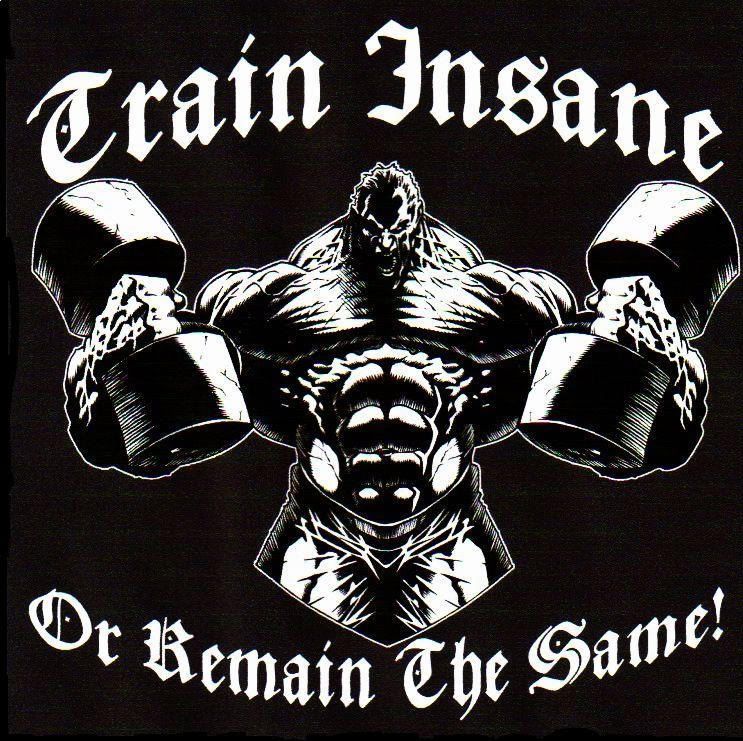 TrainInsane-ws.jpg
