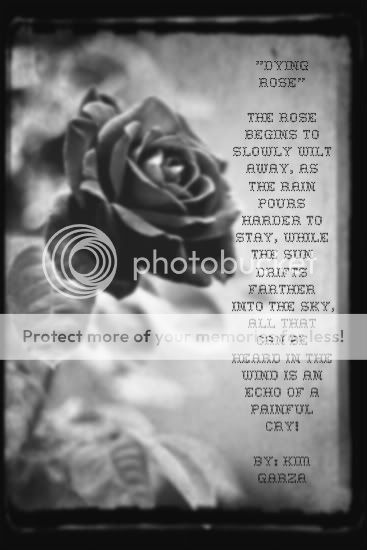 DYING ROSE Pictures, Images and Photos